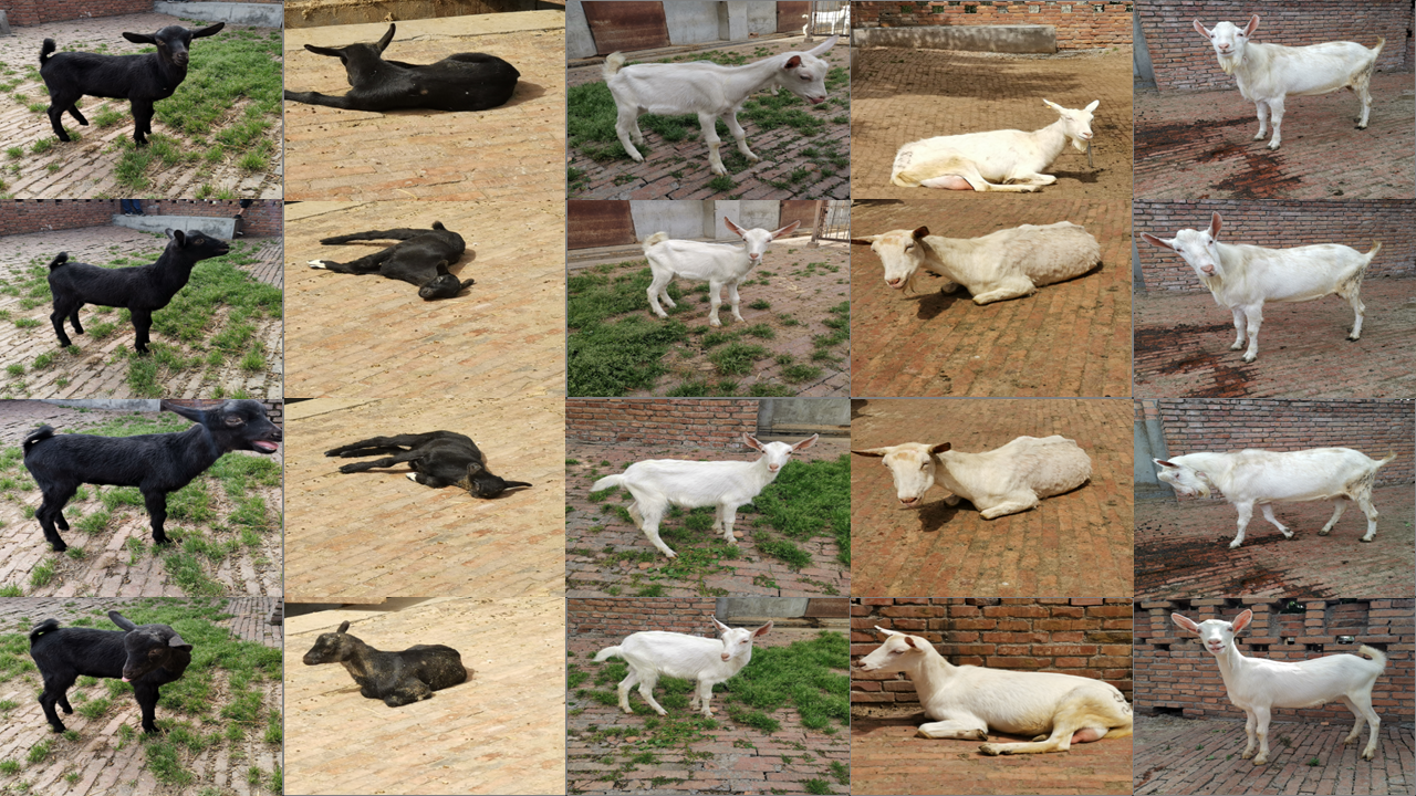 Image generation example