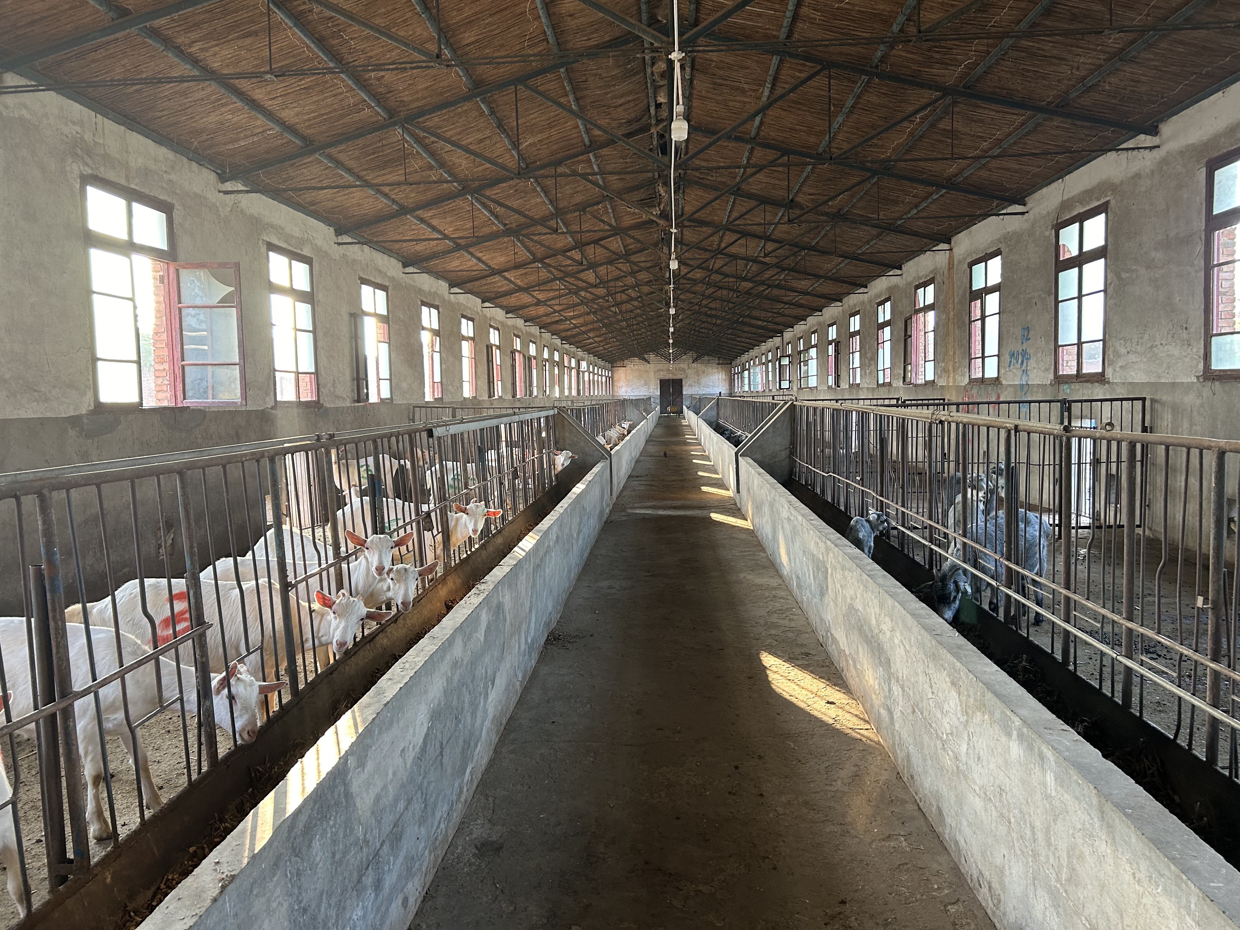 Indoor farm environment