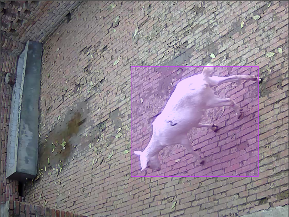 Object detection example 1