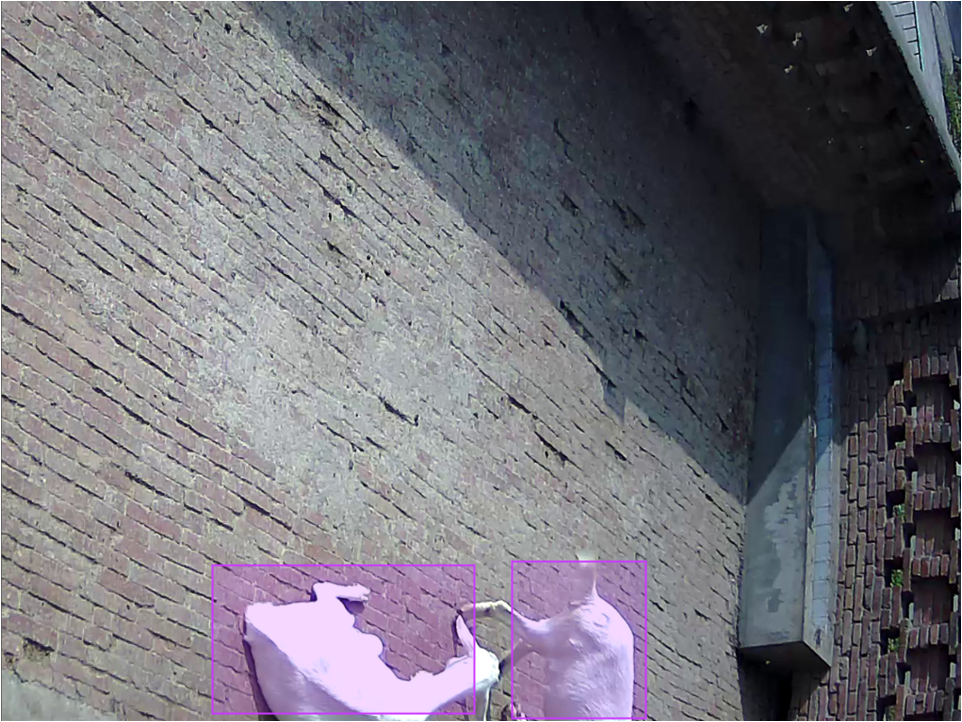 Object detection example 2