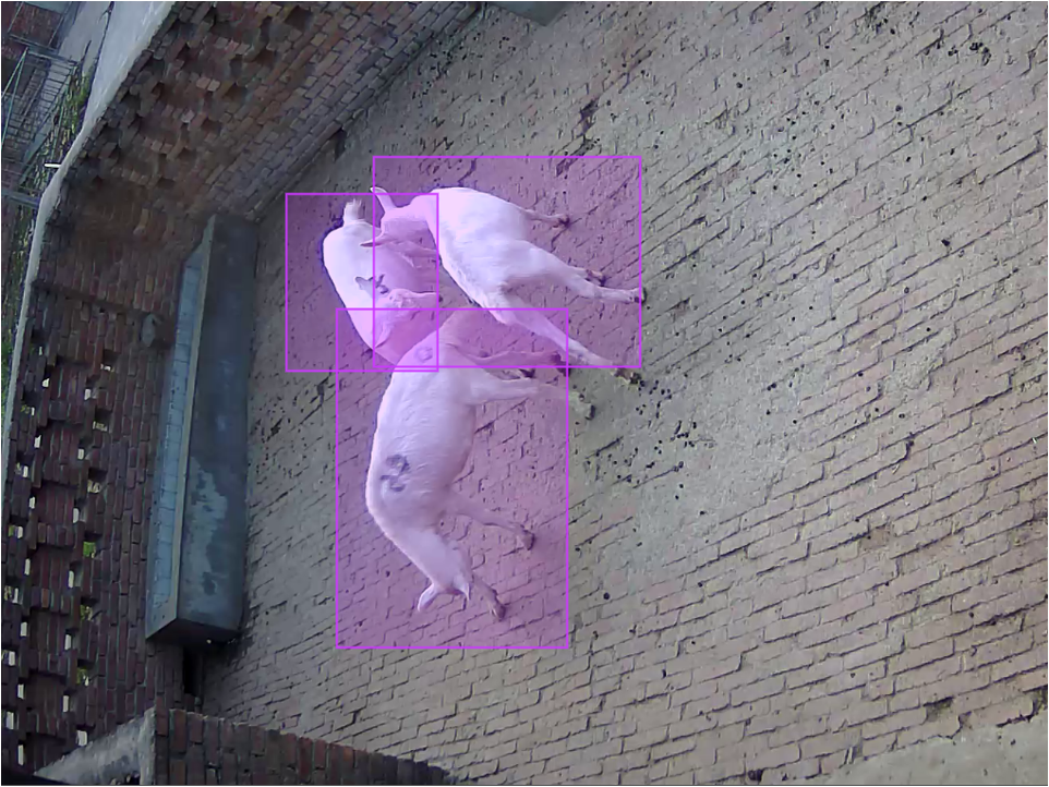 Object detection example 3
