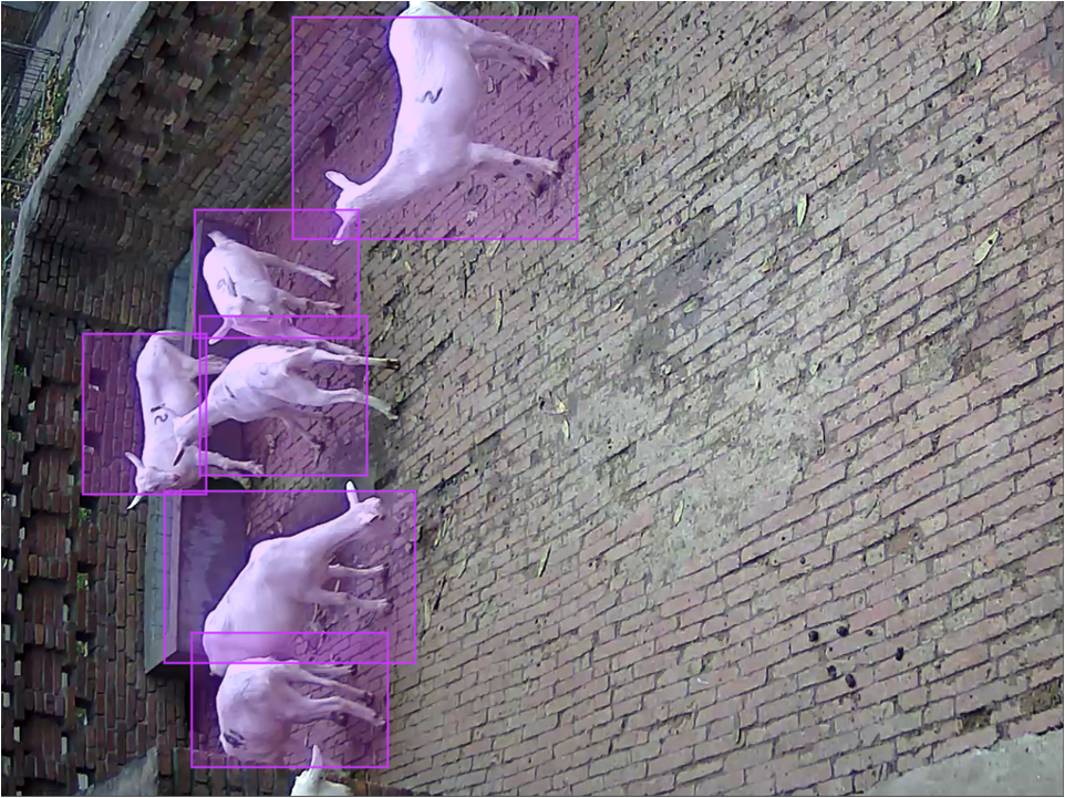 Object detection example 4