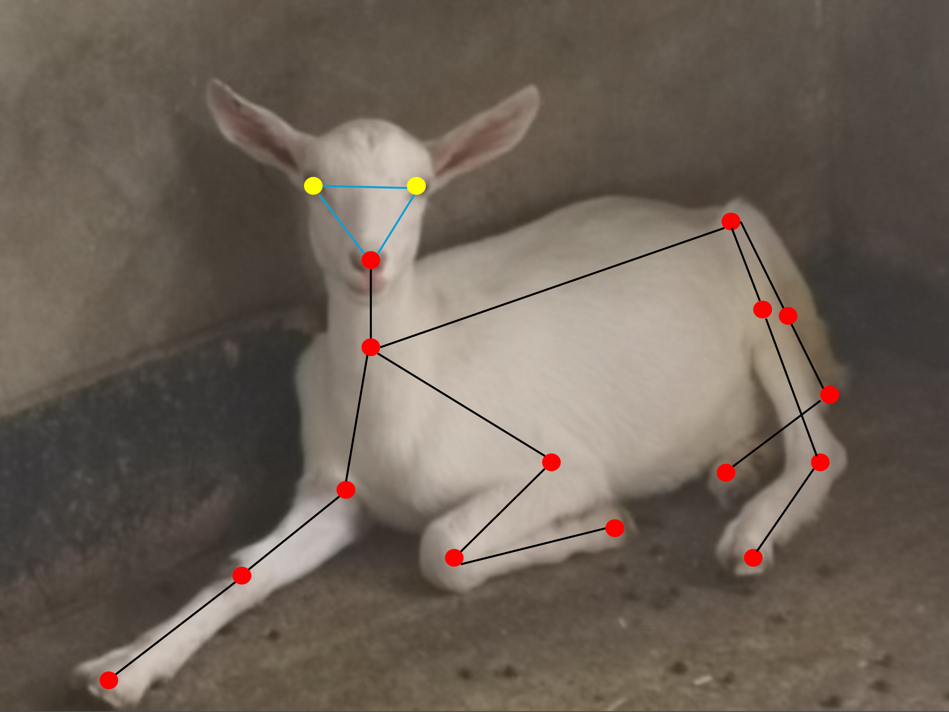 Pose estimation example 1