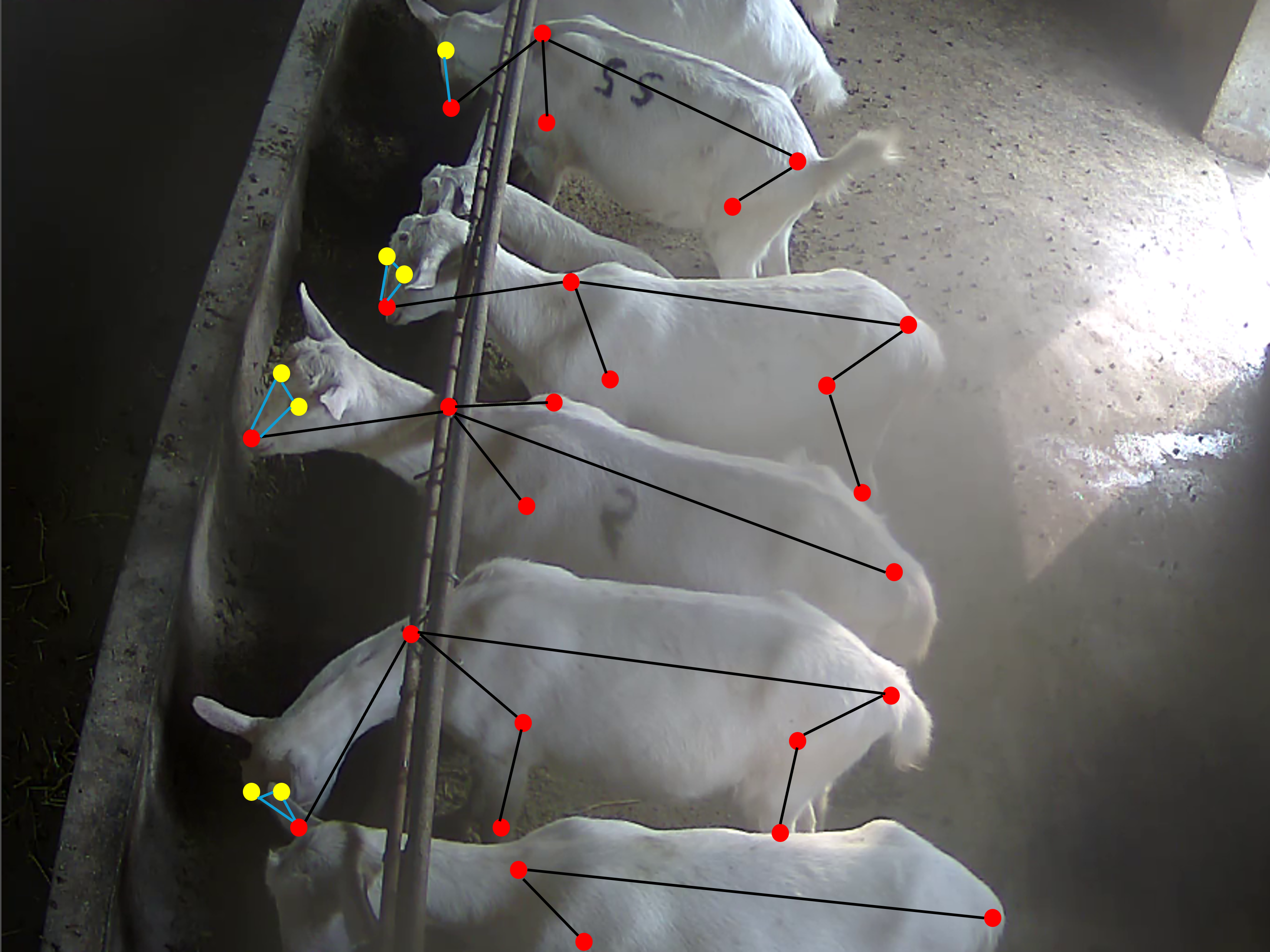 Pose estimation example 2